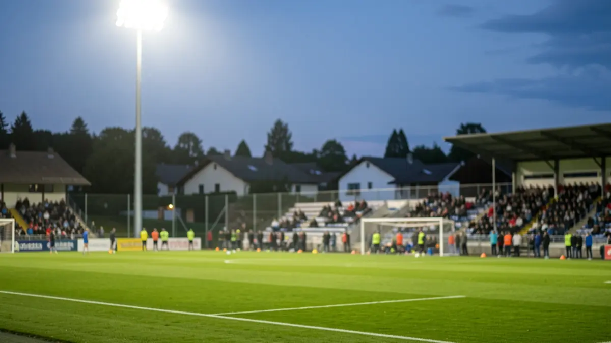 Generic image of a new synthetic football pitch lit up in the evening.